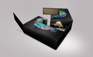 匠心融匯，數字賦能——桐木關紅茶的品牌包裝設計與軟件開發一體化提案